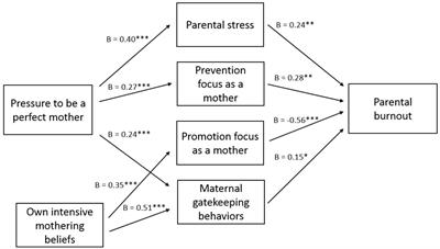 Feeling Pressure to Be a Perfect Mother Relates to Parental Burnout and Career Ambitions